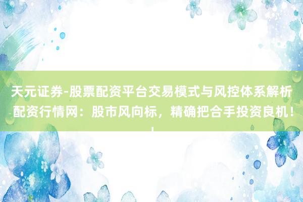 天元证券-股票配资平台交易模式与风控体系解析 配资行情网：股市风向标，精确把合手投资良机！
