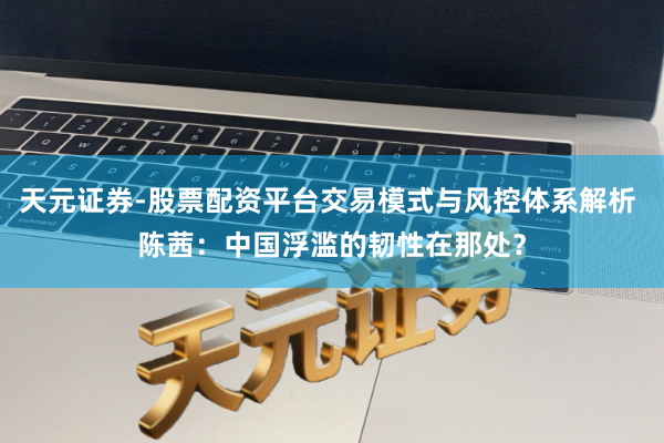 天元证券-股票配资平台交易模式与风控体系解析 陈茜：中国浮滥的韧性在那处？